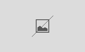 خدمت عاشقانه جهادگران لنده‌ای‌ها در مشهد