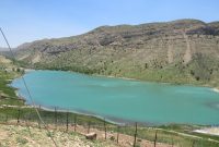 تلف شدن بیش از هزاران قطعه ماهی در یکی از تالاب های کهگیلویه وبویراحمد