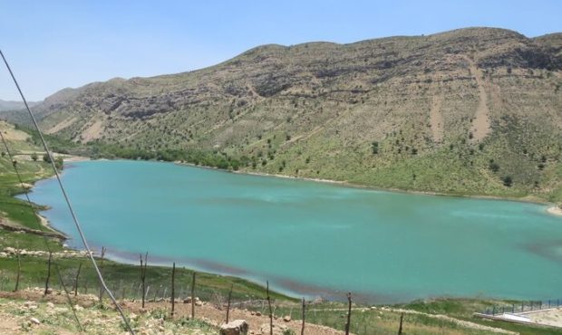 تلف شدن بیش از هزاران قطعه ماهی در یکی از تالاب های کهگیلویه وبویراحمد تلف شدن بیش از هزاران قطعه ماهی در یکی از تالاب های کهگیلویه وبویراحمد