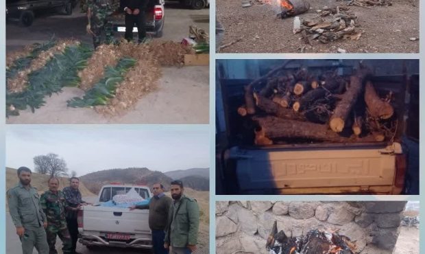 برخورد با متخلفین و متعرضین به طبیعت در دنا برخورد با متخلفین و متعرضین به طبیعت در دنا